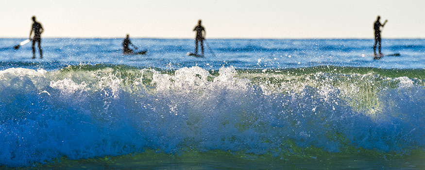 people stand up paddle boarding in north devon sea